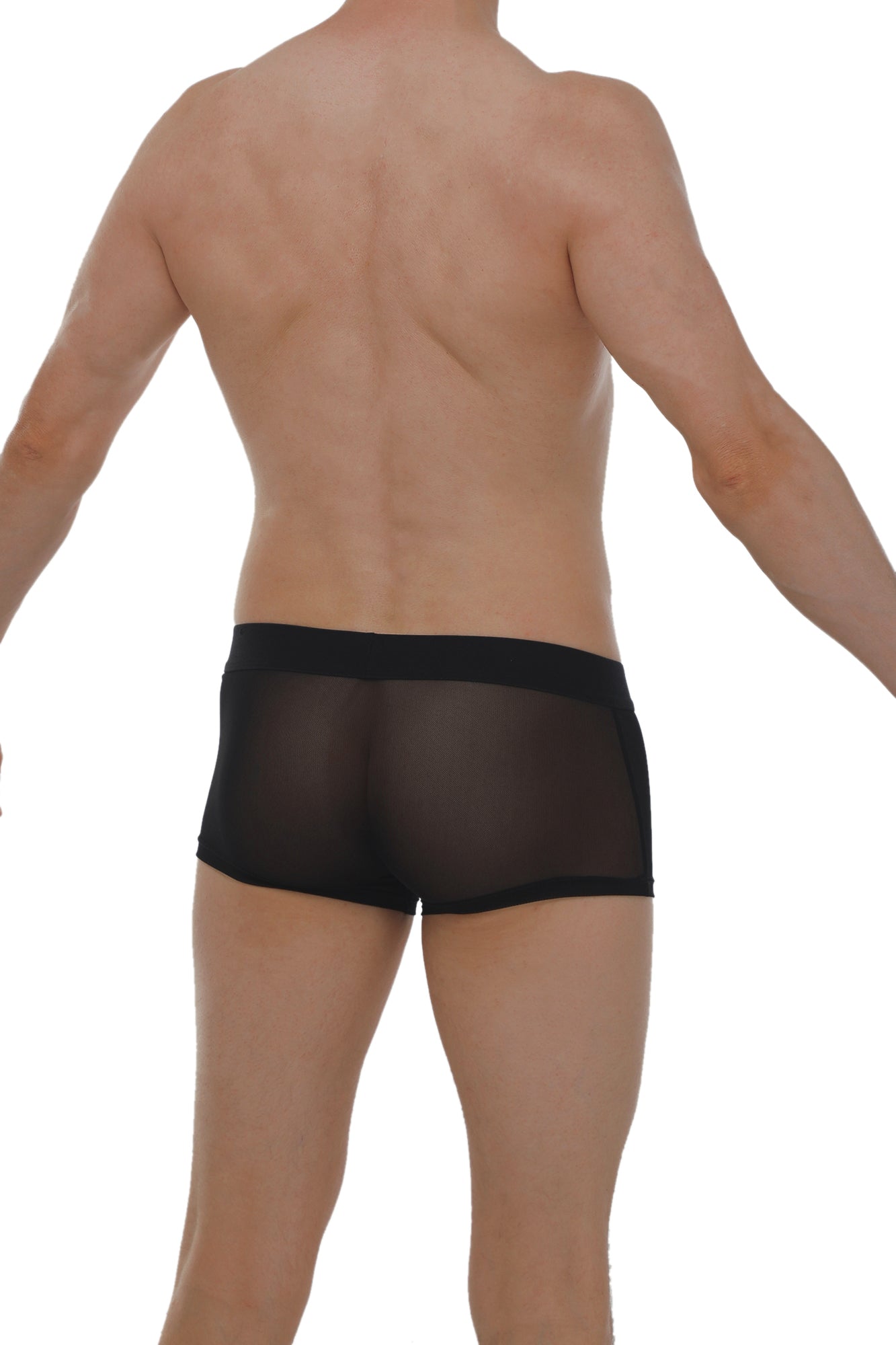 Boxer PetitQ Net Schwarz