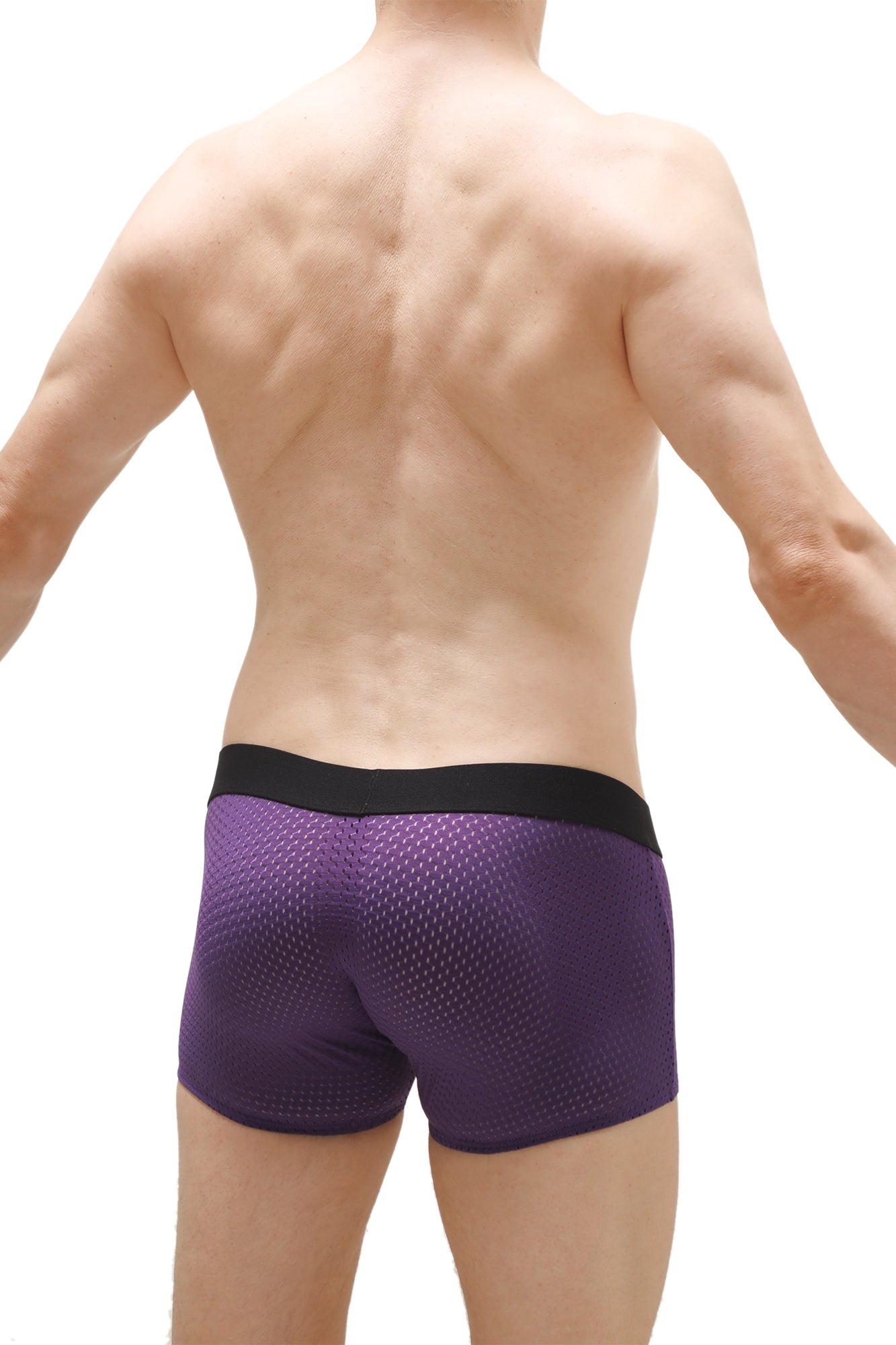Olloix Bee Violet Boxer