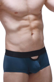 Boxer Cabrier Azul Prusia